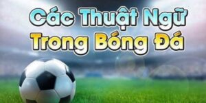 thuật ngữ cá độ bóng đá