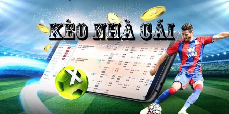 Khám phá tỷ lệ kèo nhà cái