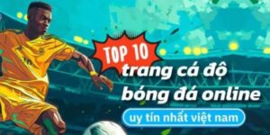 Top 10 Trang Cá Cược Bóng Đá