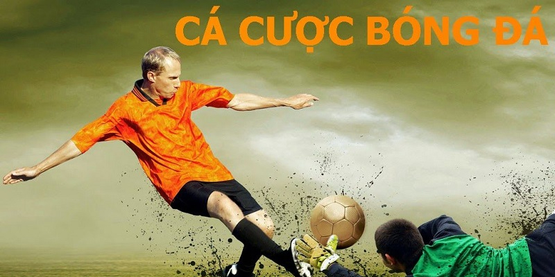 Vì sao nên chọn trang cá cược uy tín