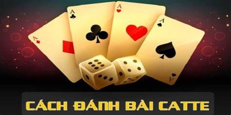 Luật chơi cơ bản Catte dễ hiểu và thú vị cho người mới