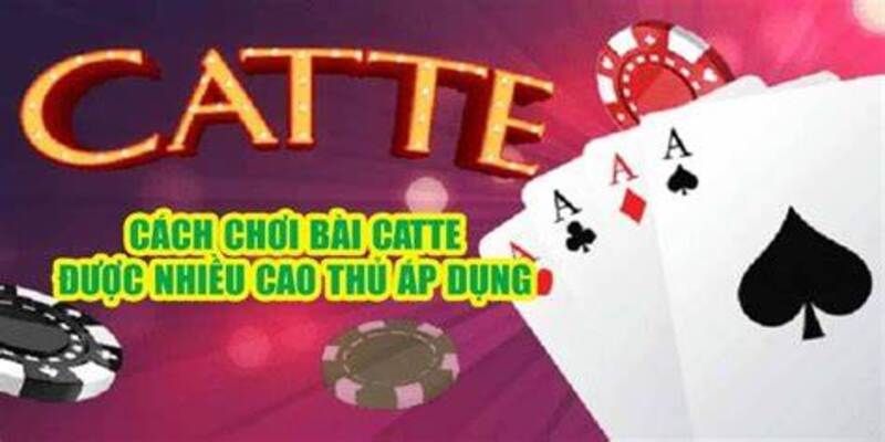 Tối ưu hóa chiến thắng bằng cách đặt bài theo màu trong Catte