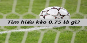 kèo tài xỉu 0.75 là gì