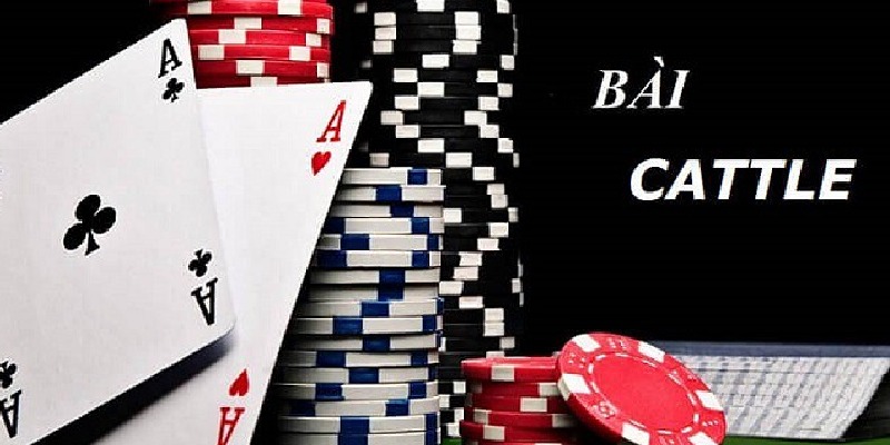 Tìm hiểu chi tiết về bài Cát Tê trước khi bắt đầu