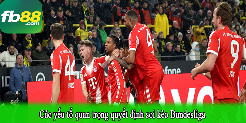 Các yếu tố quan trọng quyết định soi kèo Bundesliga