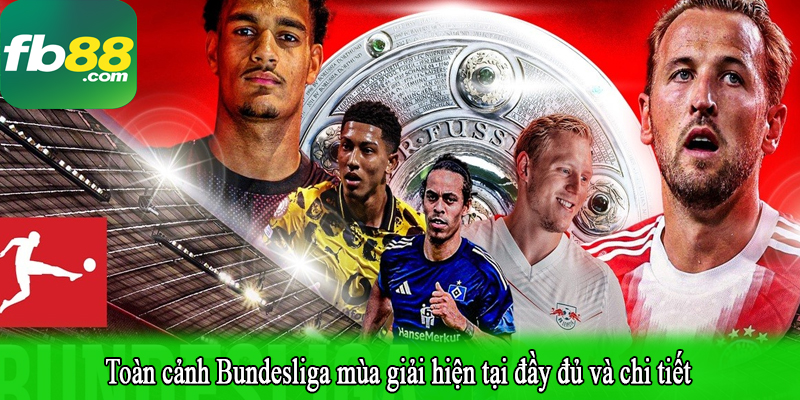 Toàn cảnh Bundesliga mùa giải hiện tại đầy đủ và chi tiết