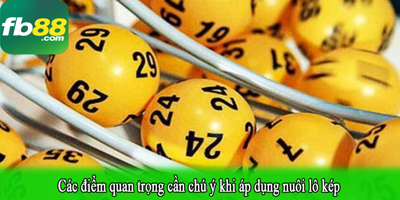 Các điểm quan trọng cần chú ý khi áp dụng nuôi lô kép