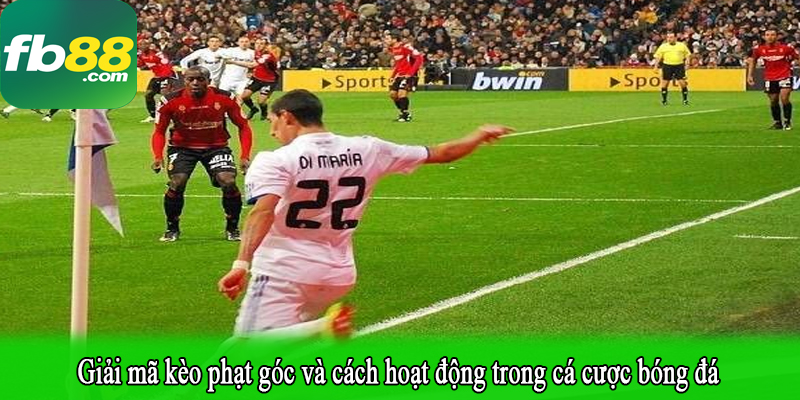 Giải mã kèo phạt góc và cách hoạt động trong cá cược bóng đá
