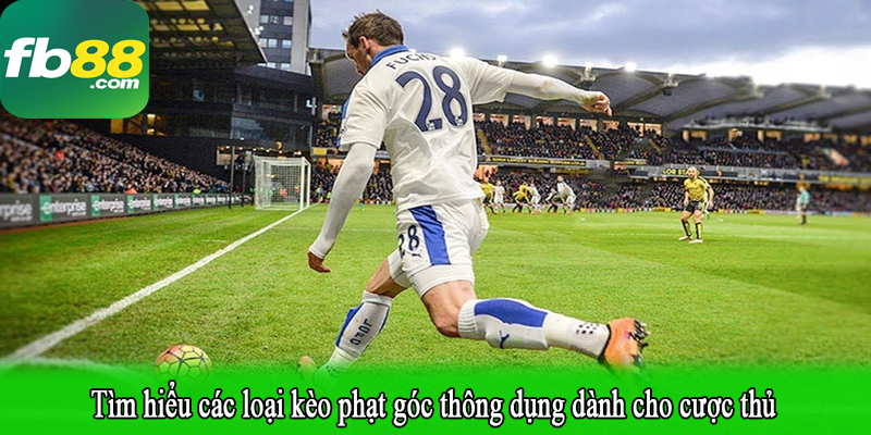 Tìm hiểu các loại kèo phạt góc thông dụng dành cho cược thủ