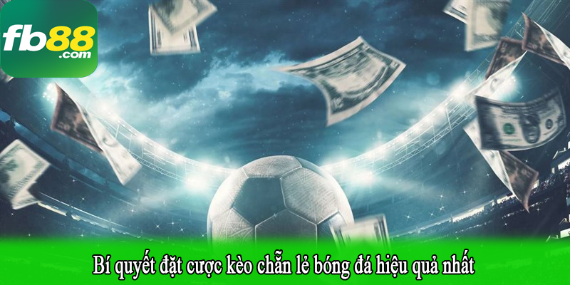 Bí quyết đặt cược kèo chẵn lẻ bóng đá hiệu quả nhất