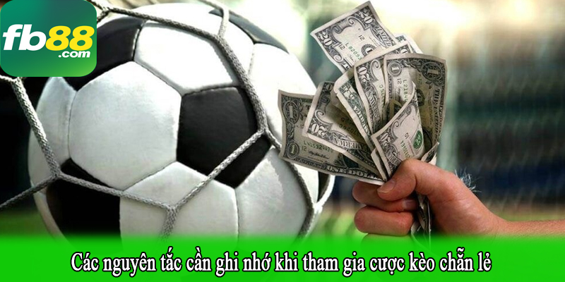 Các nguyên tắc cần ghi nhớ khi tham gia cược kèo chẵn lẻ