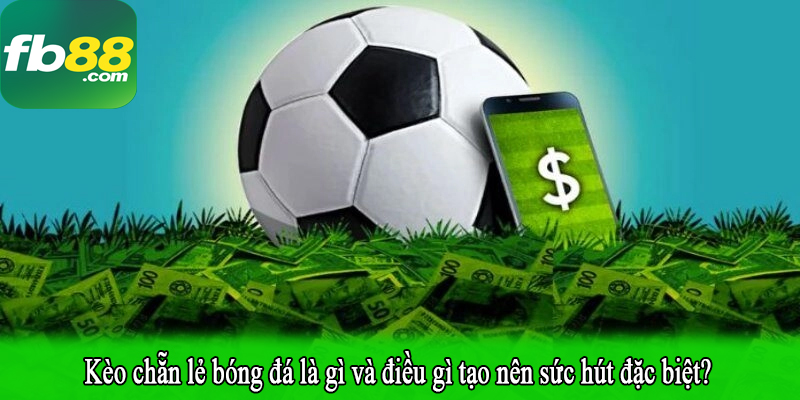 Kèo chẵn lẻ bóng đá là gì và điều gì tạo nên sức hút đặc biệt?