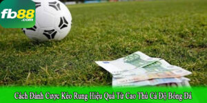 cách đánh cược kèo rung