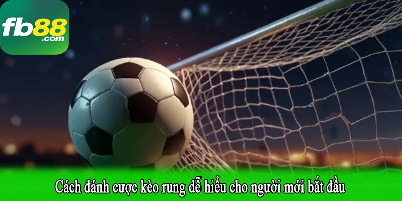 Cách đánh cược kèo rung dễ hiểu cho người mới bắt đầu