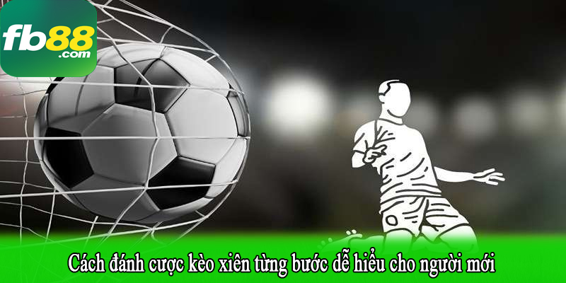 Cách đánh cược kèo xiên từng bước dễ hiểu cho người mới