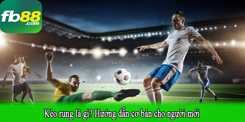 Kèo rung là gì? Hướng dẫn cơ bản cho người mới