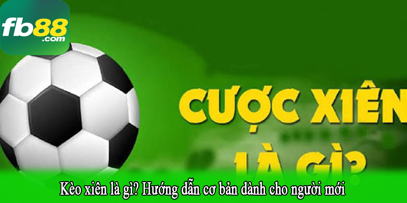 Kèo xiên là gì? Hướng dẫn cơ bản dành cho người mới