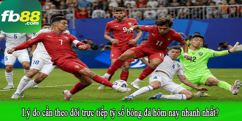Lý do cần theo dõi trực tiếp tỷ số bóng đá hôm nay nhanh nhất?