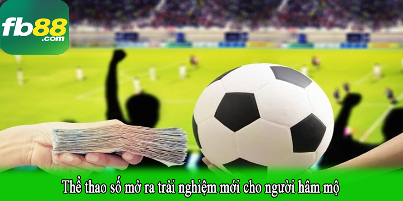 Thể thao số mở ra trải nghiệm mới cho người hâm mộ