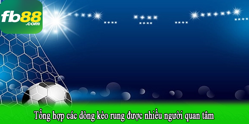 Tổng hợp các dòng kèo rung được nhiều người quan tâm