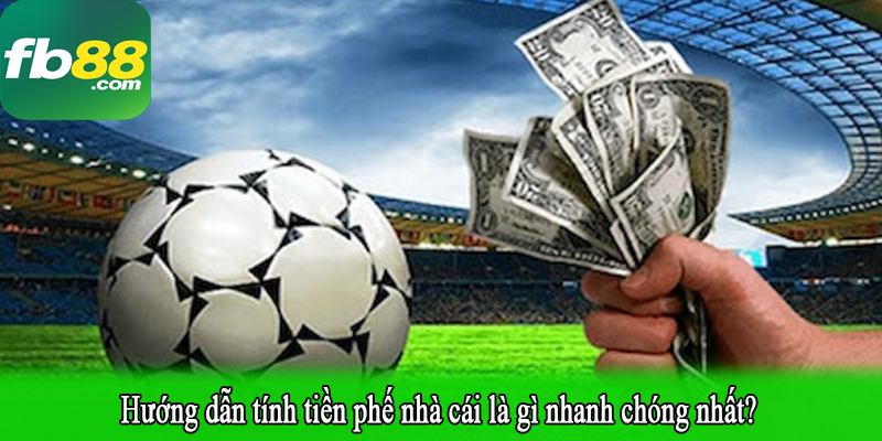 Hướng dẫn tính tiền phế nhà cái là gì nhanh chóng nhất?