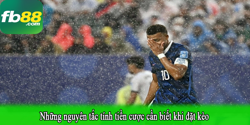 Những nguyên tắc tính tiền cược cần biết khi đặt kèo