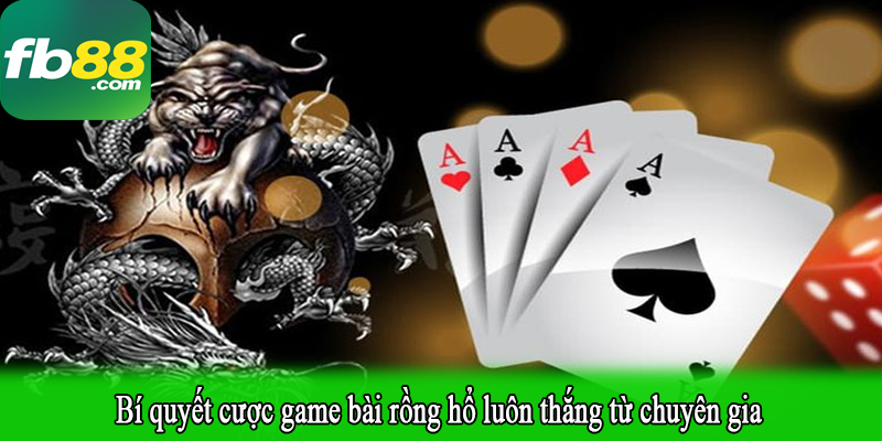 Bí quyết cược game bài rồng hổ luôn thắng từ chuyên gia