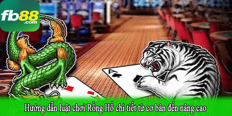 Hướng dẫn luật chơi Rồng Hổ chi tiết từ cơ bản đến nâng cao