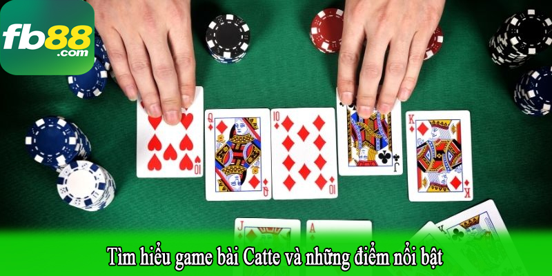 Tìm hiểu game bài Catte và những điểm nổi bật