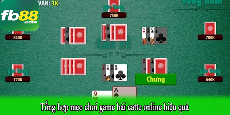 Tổng hợp mẹo chơi game bài catte online hiệu quả