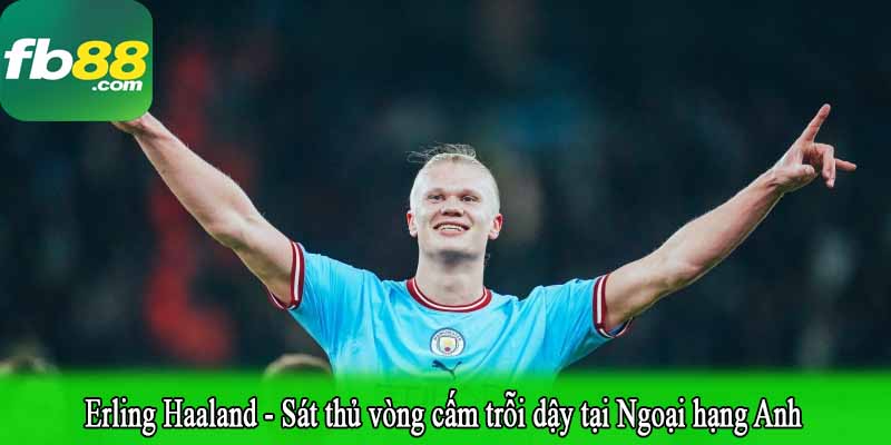 Erling Haaland - Sát thủ vòng cấm trỗi dậy tại Ngoại hạng Anh